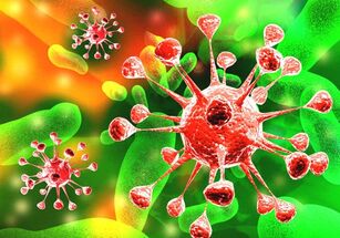 jinis ubar antibakteri pikeun prostatitis