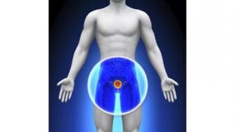 prostatitis dina lalaki